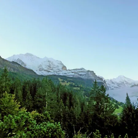 Chalet Zwaergli By Interhome Wengen