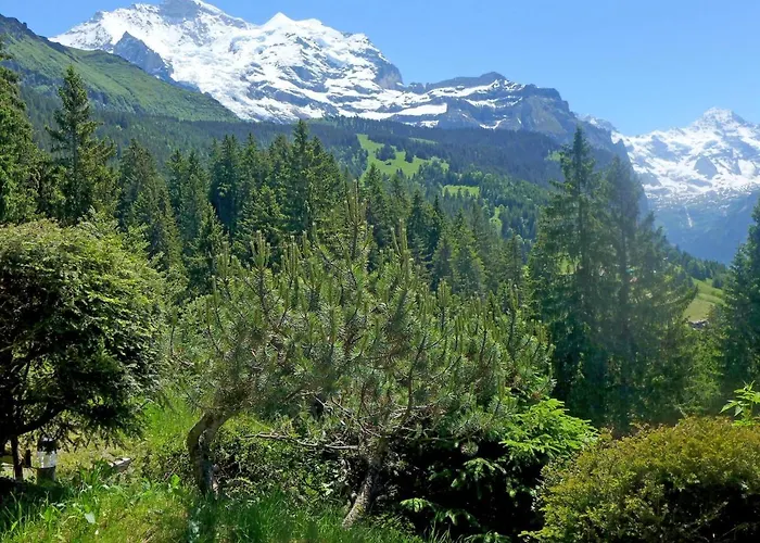 Zwaergli By Interhome Chalé Wengen