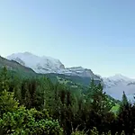 Chalet Zwaergli By Interhome Wengen