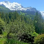 Zwaergli By Interhome Chalet Wengen