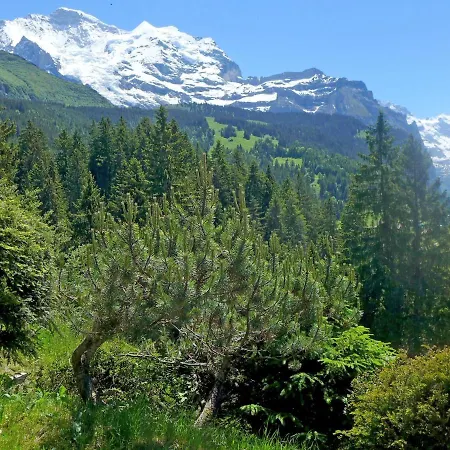 Zwärgli Chalet Wengen